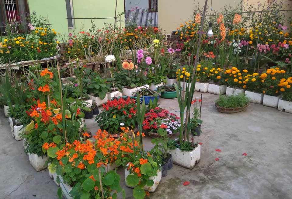 Gardening Expert
