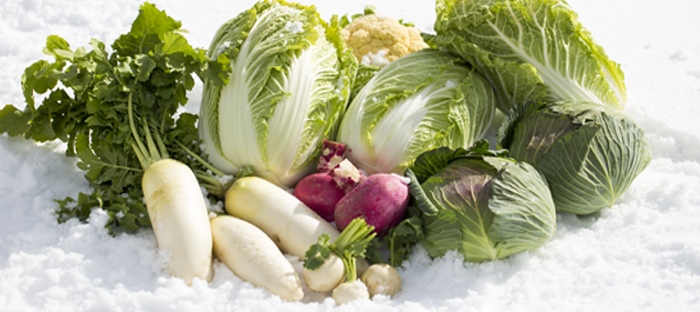 Grow in December Winter Vegetables