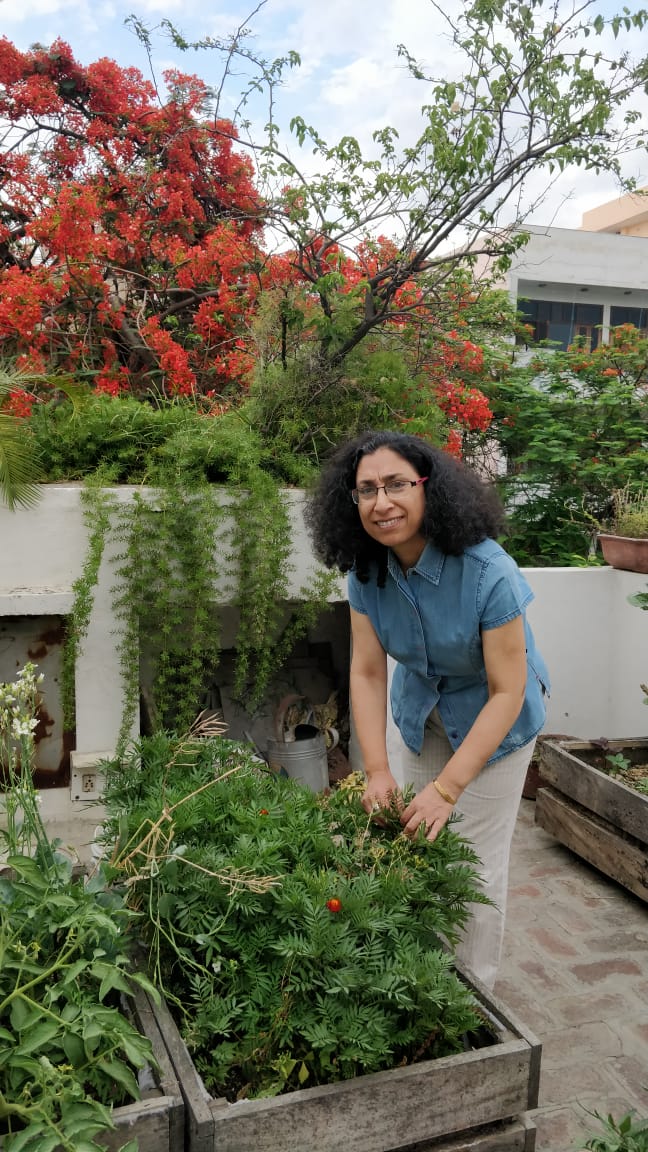 Grow Your Chutney Garden