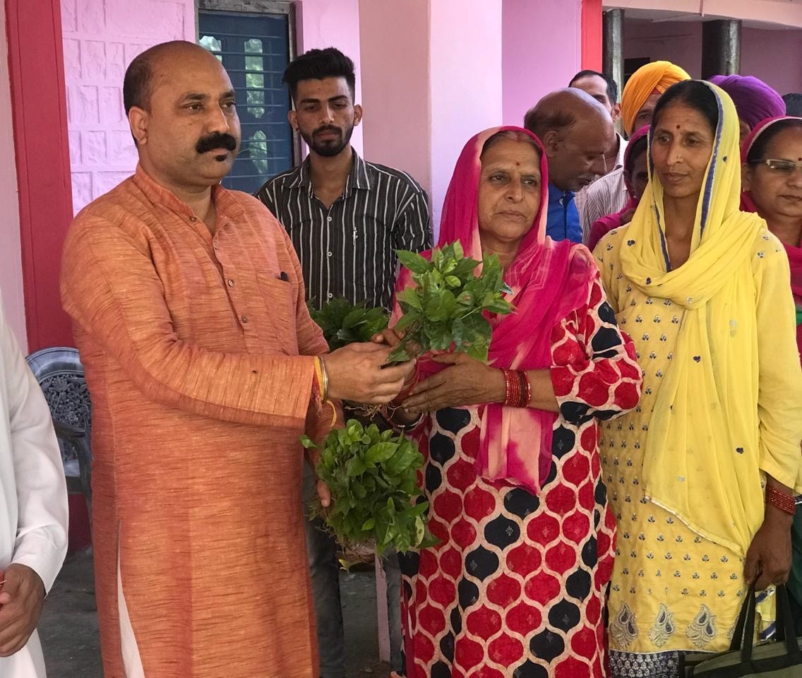 Himachal Man is distributing free coffee saplings