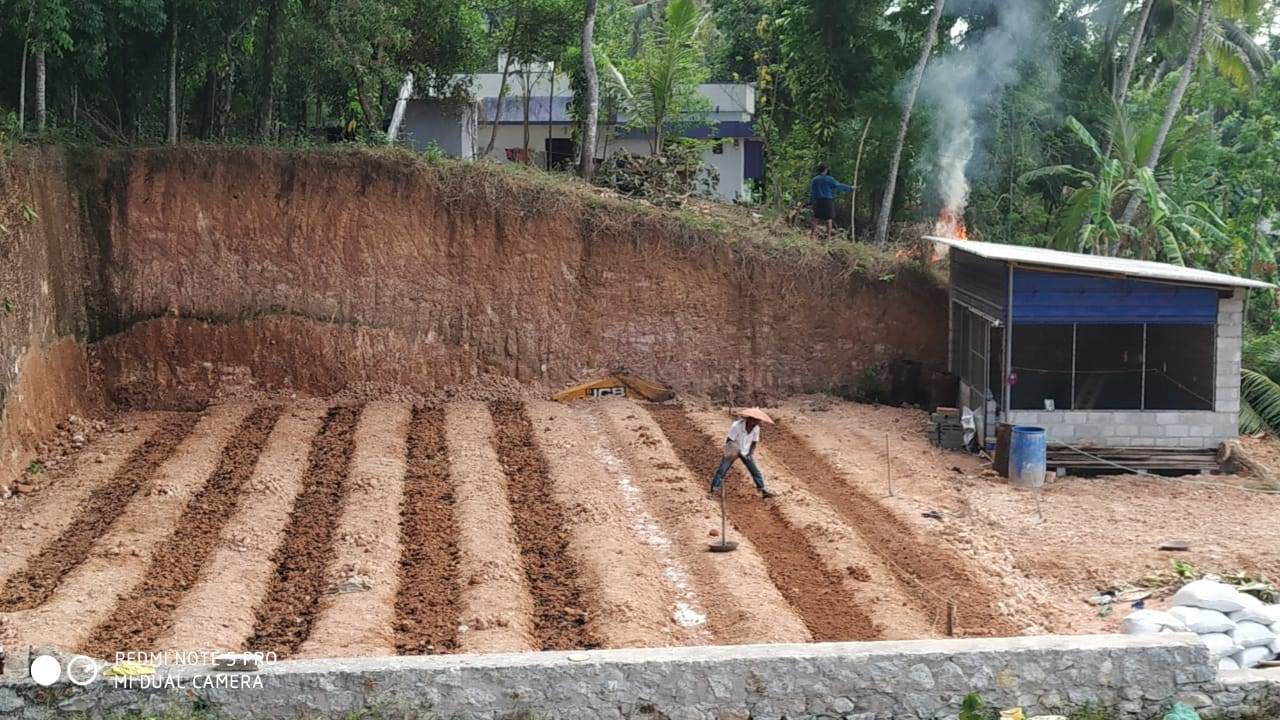 Kerala Neighbours Growing Vegetables