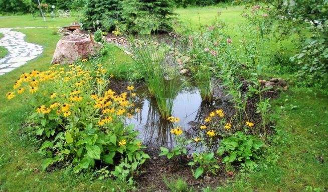 7 techniques rainwater harvesting