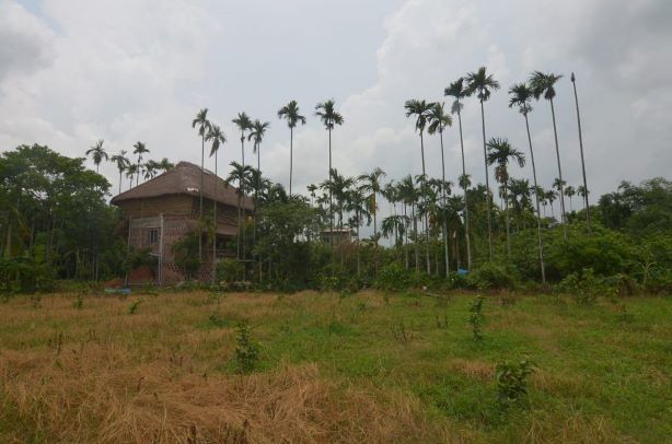 Mud house