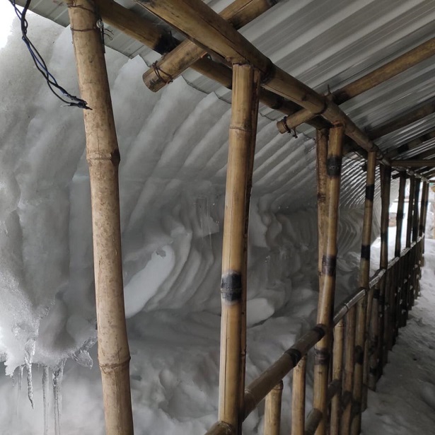 bamboo home badrinath
