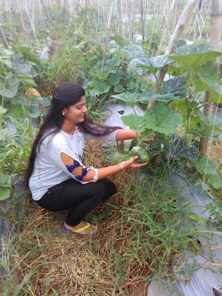assistant professor farmer