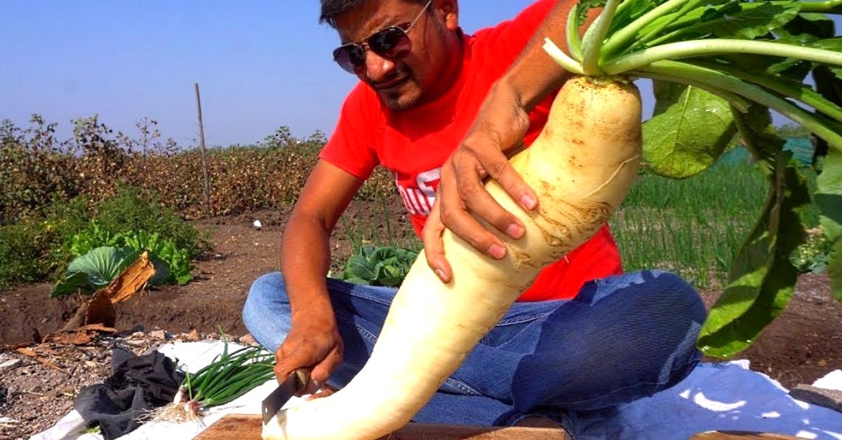 Gujrat Farmer son