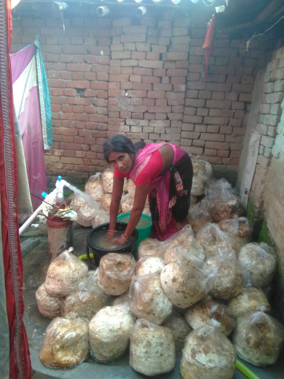 Bihar Woman