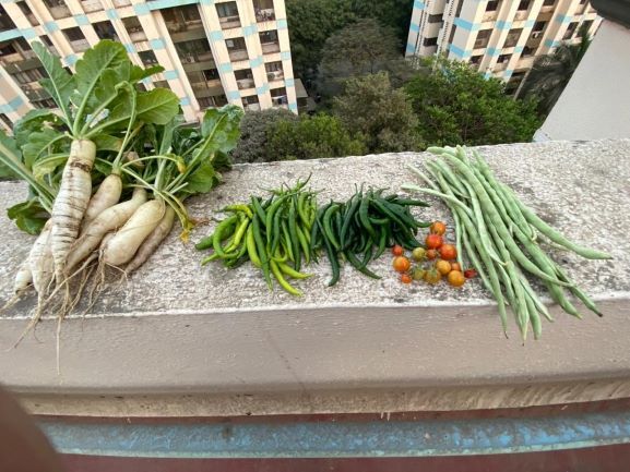 thane society