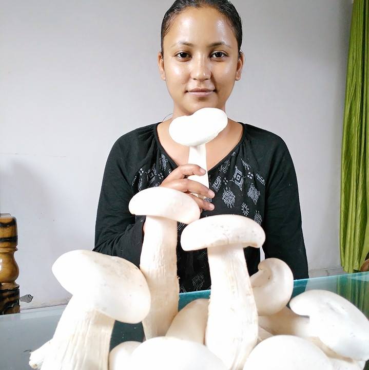 mushroom farming mushroom farming