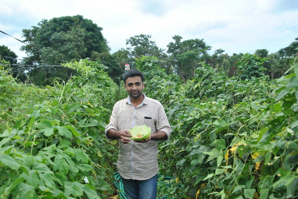 kochi farmer kochi farmer