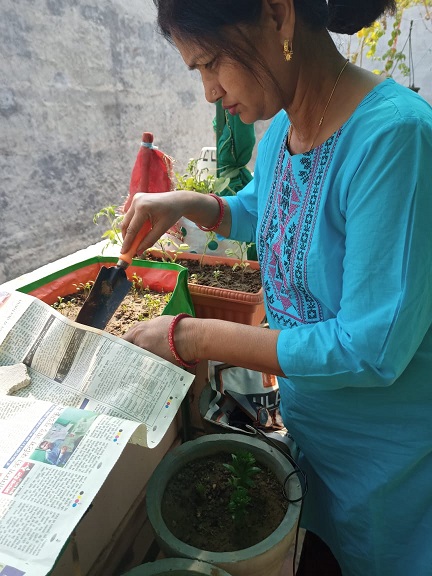 Terrace Gardening in Gurgaon