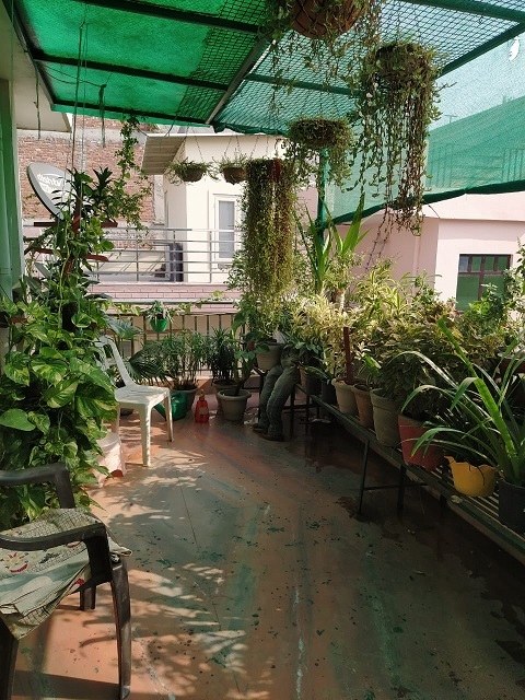 Terrace Gardening in Gurgaon