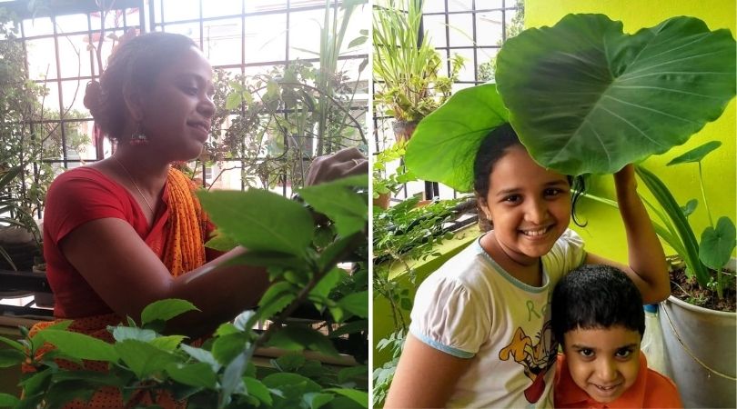 IT instructor growing veggies Balcony Garden