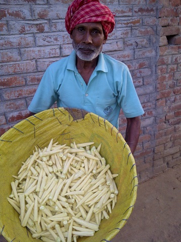 Bihar Man Left Job