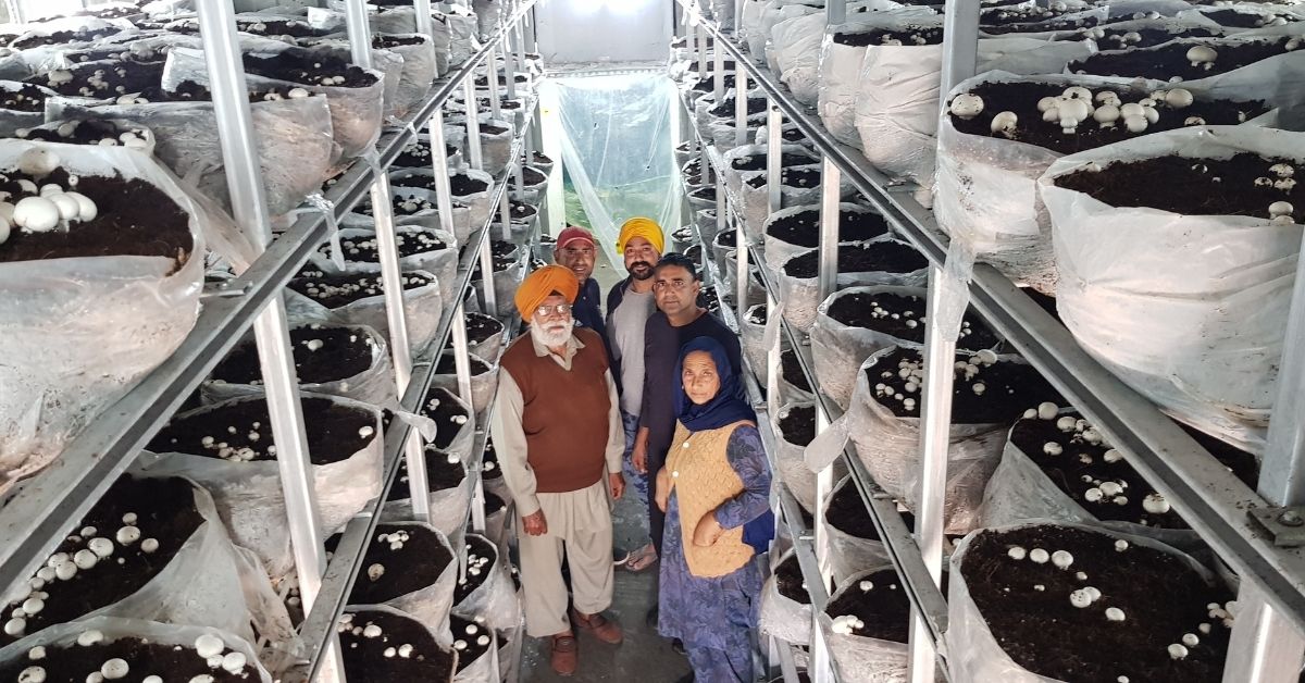 Punjab Farmer