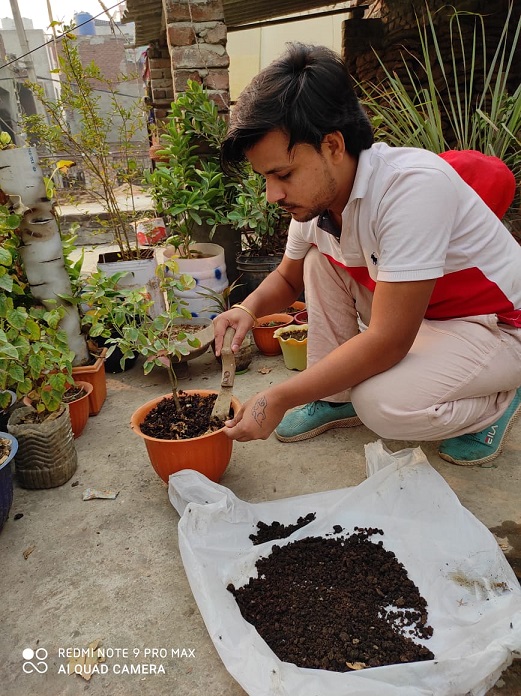terrace gardening in delhi