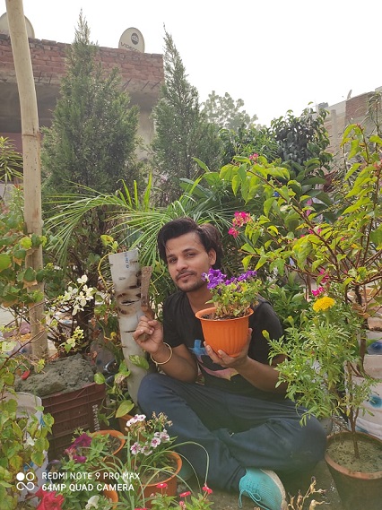 terrace gardening in delhi terrace gardening in delhi